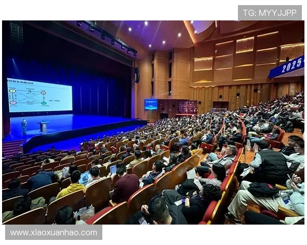 金年会游戏网址查询，快速找到适合公司年会的热门在线游戏网站