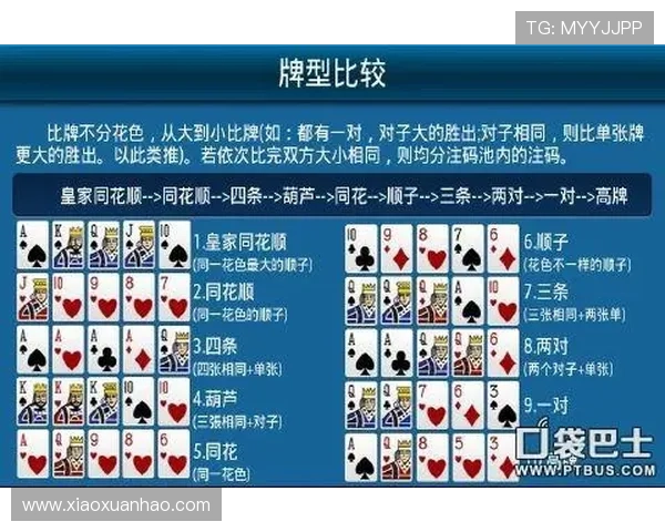 免费德州扑扑克游戏攻略大全,帮助新手快速掌握技巧提升胜率 免费德州扑扑克游戏攻略大全,帮助新手快速掌握技巧提升胜率